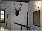 foto Castel Welsperg 